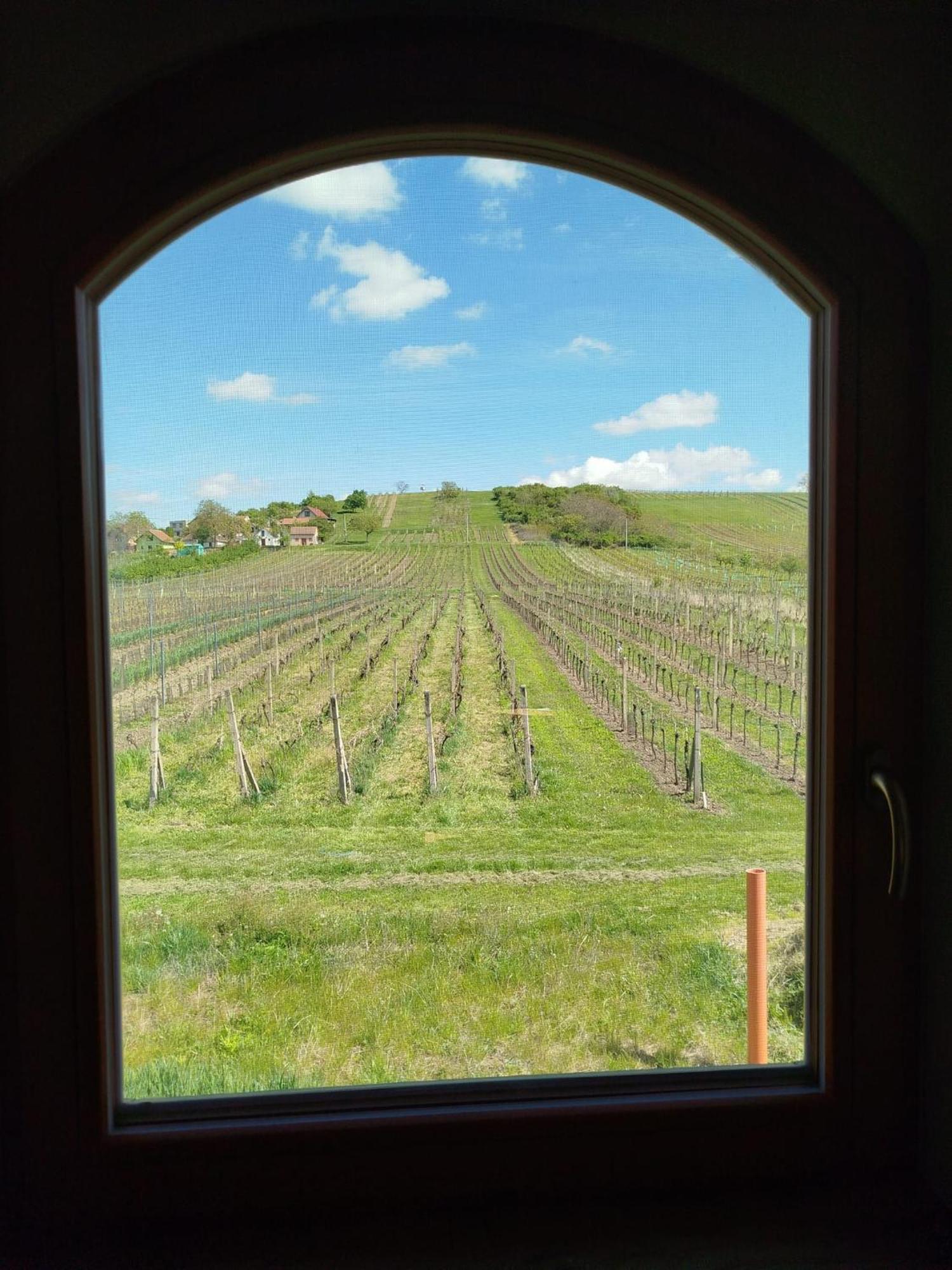 Sklep Vino Strycek Guest House Velké Bílovice Eksteriør bilde